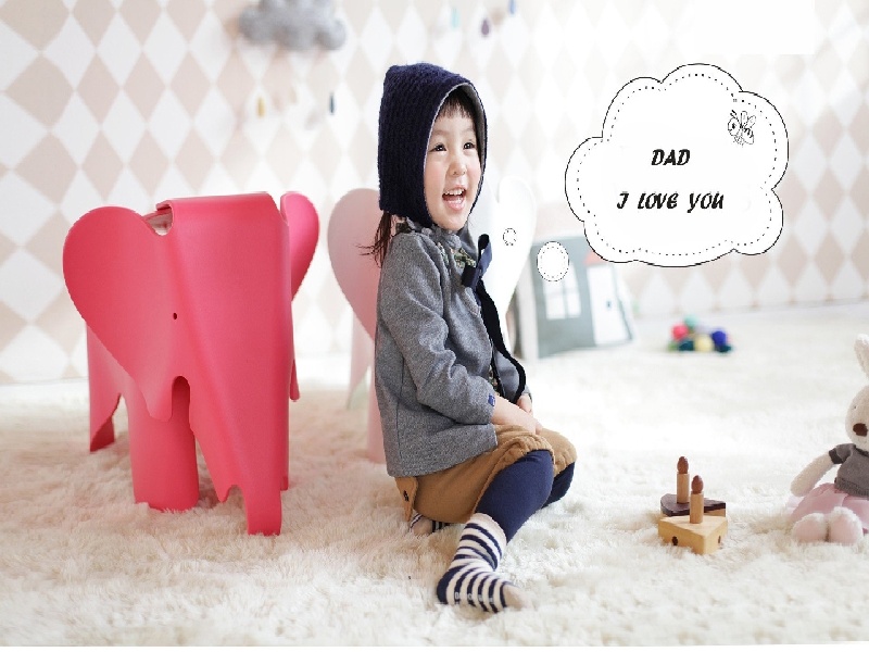 核酸试管存放条件,香石竹试管苗